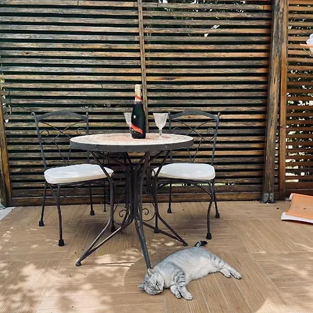 Villa Villa Con Piscina 25 Metri Chieuti